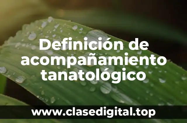 Definición técnica de acompañamiento tanatológico