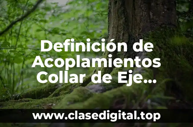 Definición de Acoplamientos Collar de Eje Roscado