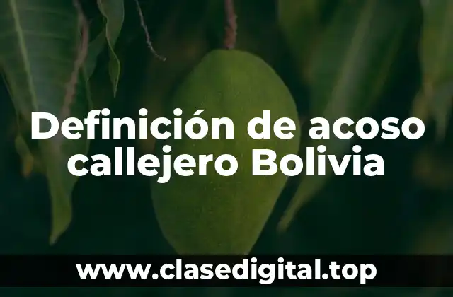 Definición de acoso callejero Bolivia