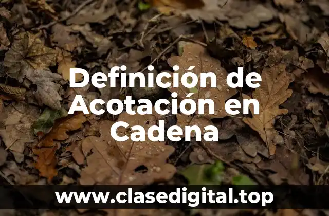 Definición técnica de Acotación en Cadena