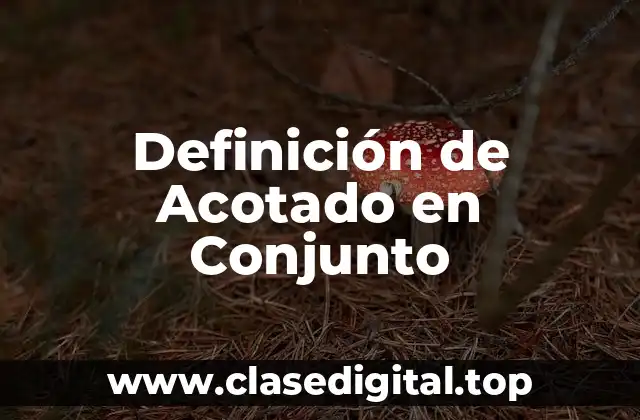 Definición de Acotado en Conjunto