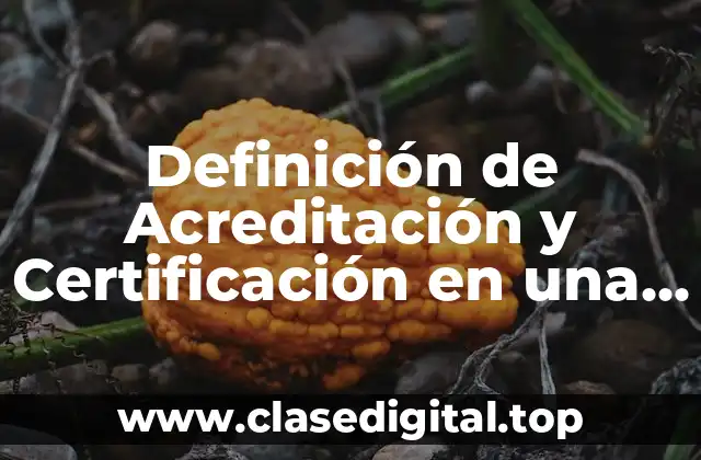 Definición de Acreditación y Certificación en una Norma