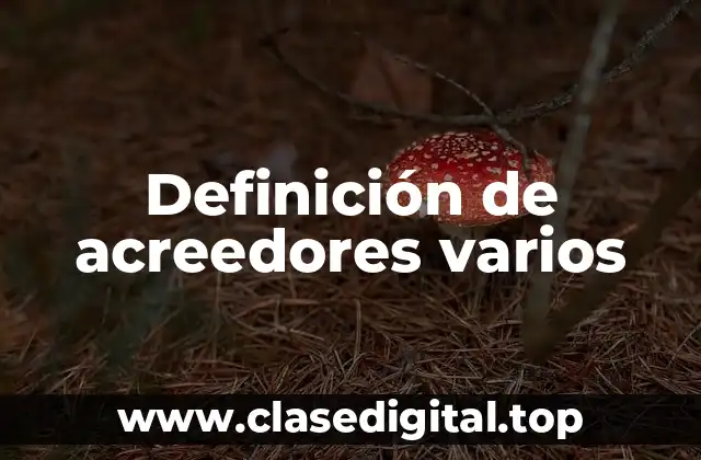 Definición de acreedores varios