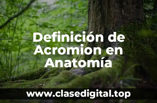 Definición de Acromion en Anatomía