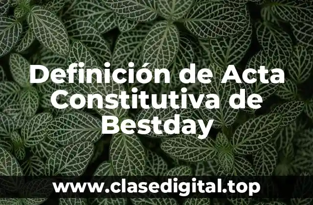 Definición de Acta Constitutiva de Bestday