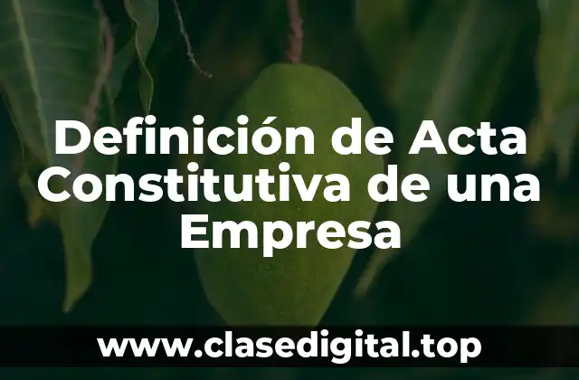 Definición técnica de Acta Constitutiva de una Empresa