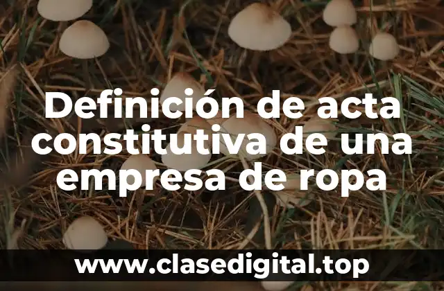 Definición de acta constitutiva de una empresa de ropa