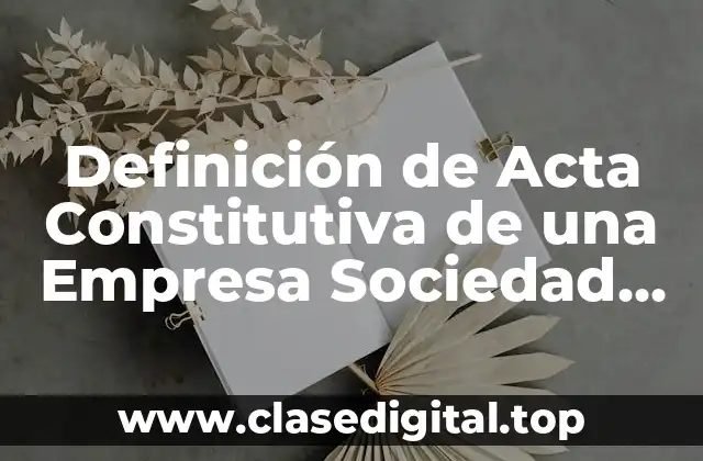 Definición de Acta Constitutiva de una Empresa Sociedad Anónima