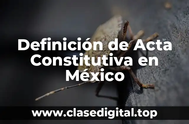Definición de Acta Constitutiva en México