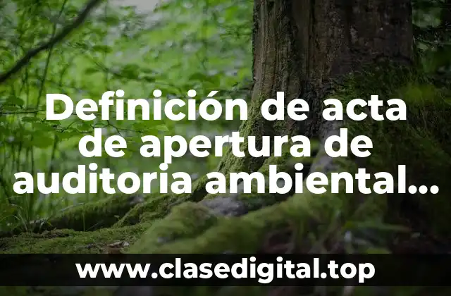 Definición de acta de apertura de auditoria ambiental llenado