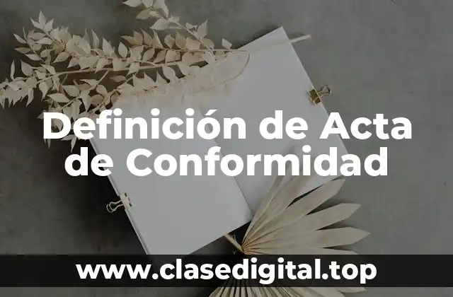 Definición técnica de Acta de Conformidad