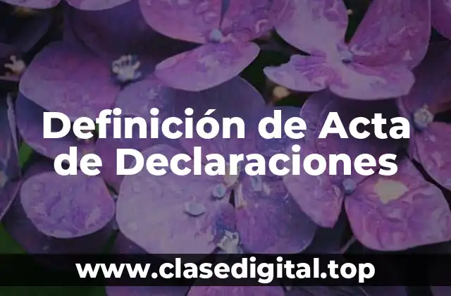 Definición de Acta de Declaraciones