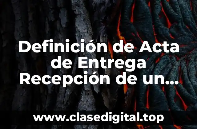 Ejemplos de Actas de Entrega-Recepción de un Proveedor