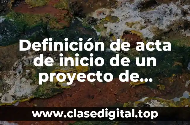 Ejemplos de acta de inicio de un proyecto de software