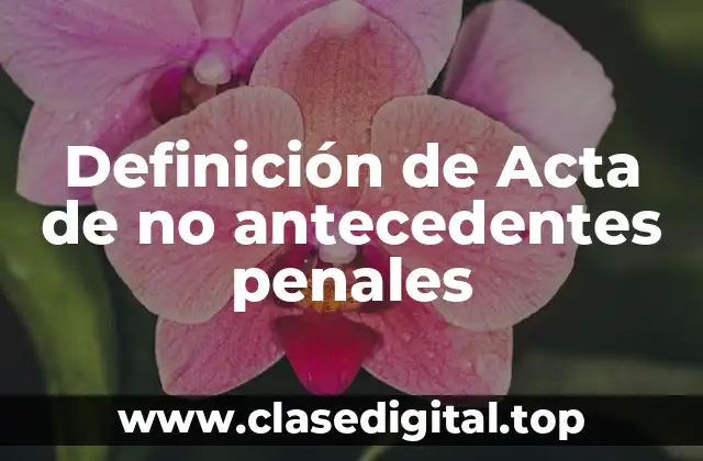Definición de Acta de no antecedentes penales