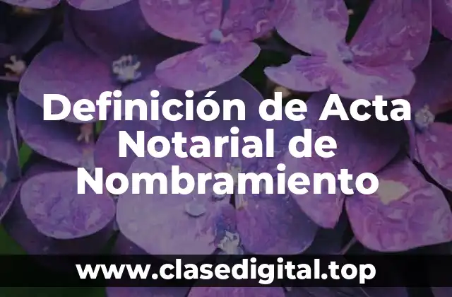 Definición de Acta Notarial de Nombramiento