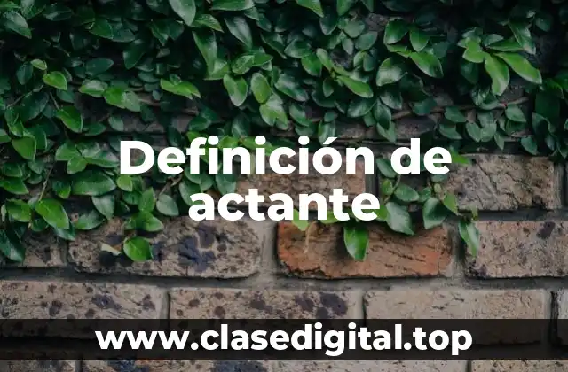 Definición de actante