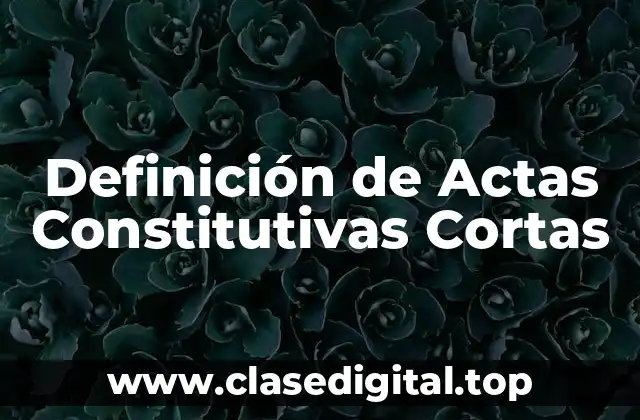 Ejemplos de Actas Constitutivas Cortas