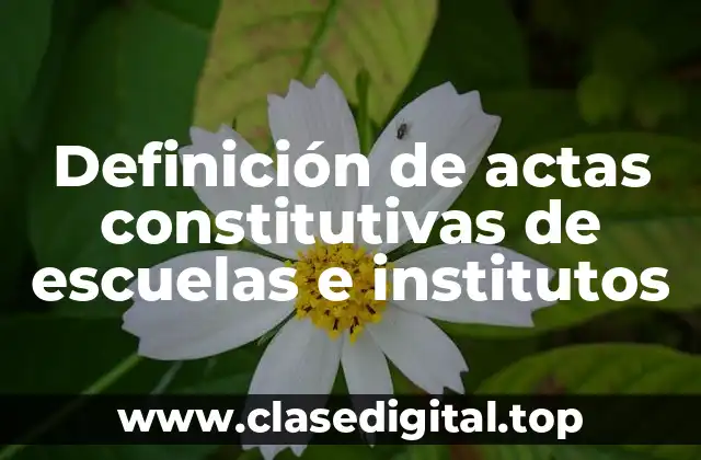 Definición de actas constitutivas de escuelas e institutos