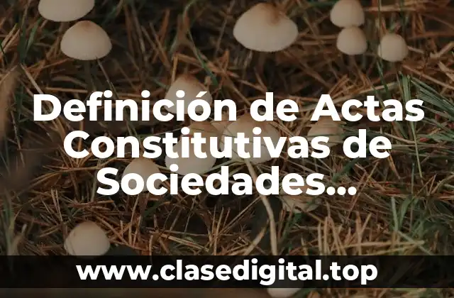 Definición de Actas Constitutivas de Sociedades Anónimas Comerciales