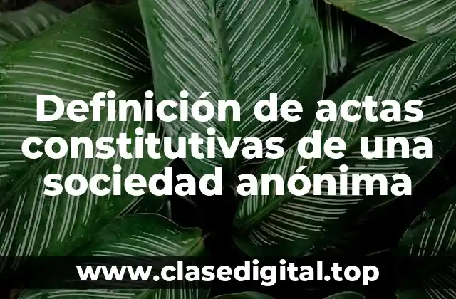 Definición de actas constitutivas de una sociedad anónima