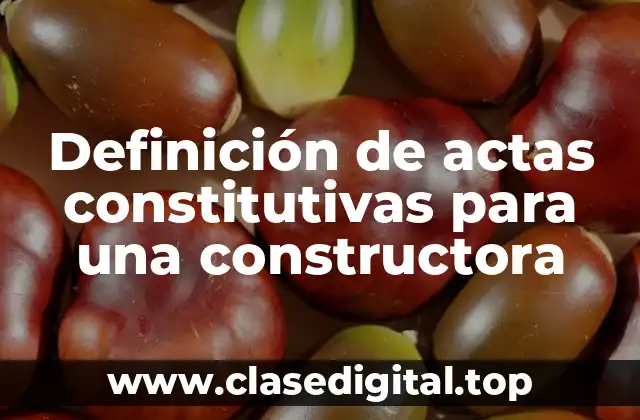 Definición de actas constitutivas para una constructora