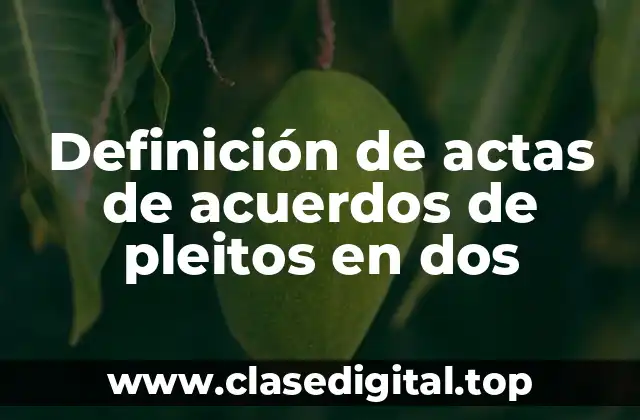 Ejemplos de actas de acuerdos de pleitos en dos
