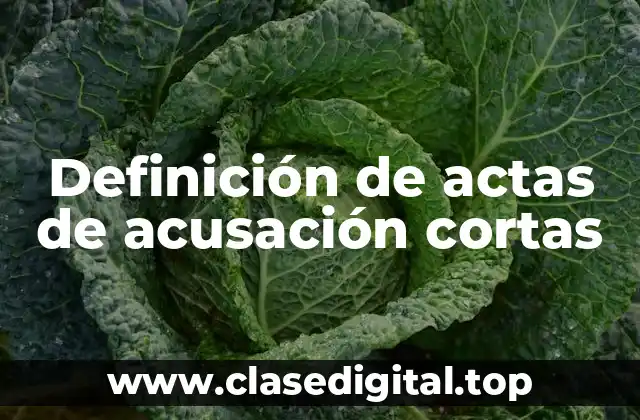 Ejemplos de actas de acusación cortas