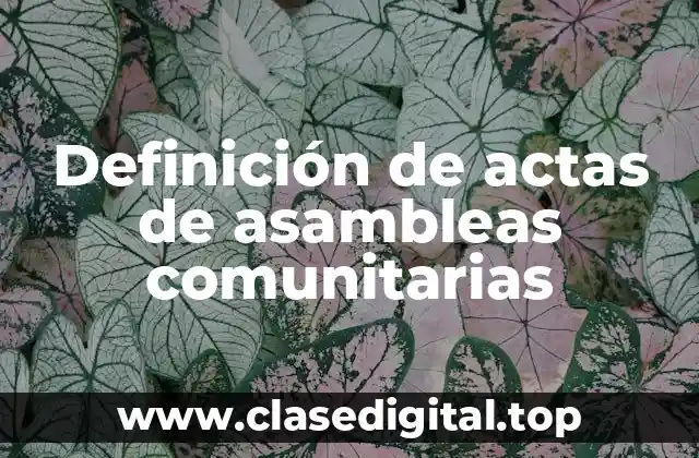 Ejemplos de actas de asambleas comunitarias