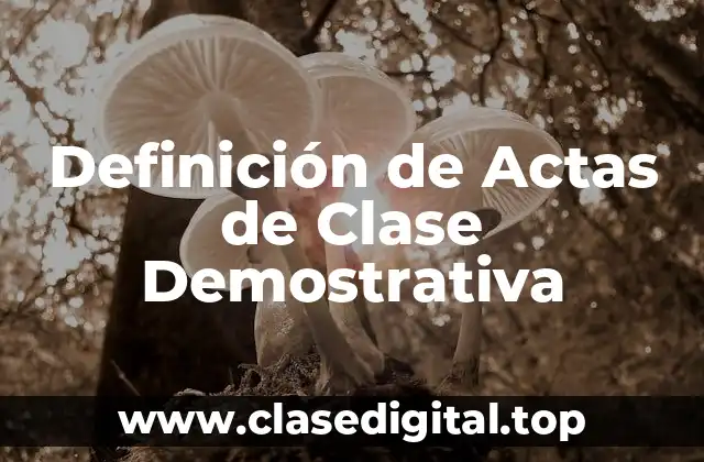 Definición de Actas de Clase Demostrativa
