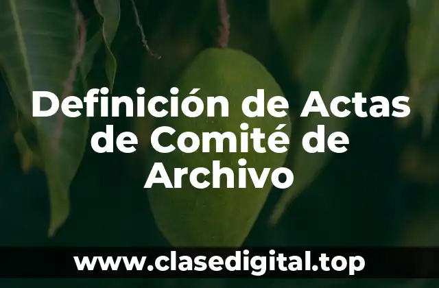 Definición de Actas de Comité de Archivo