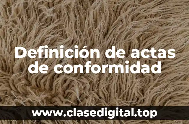 Definición de actas de conformidad