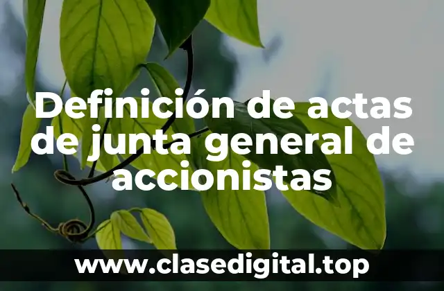 Definición de actas de junta general de accionistas