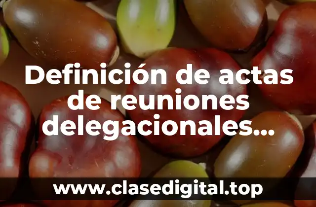 Definición de actas de reuniones delegacionales sección XXII
