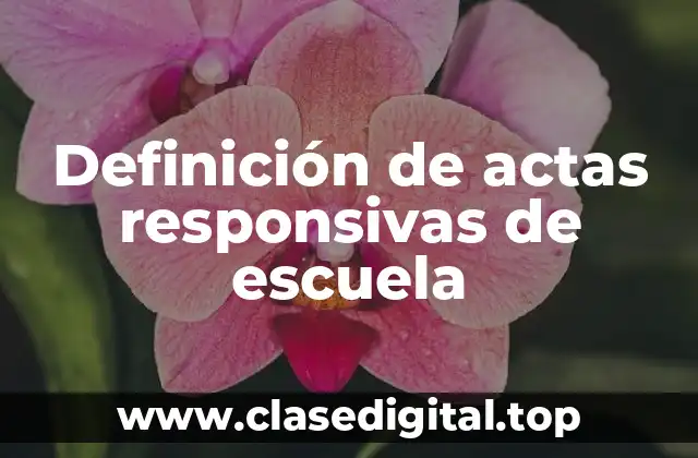 Definición de actas responsivas de escuela