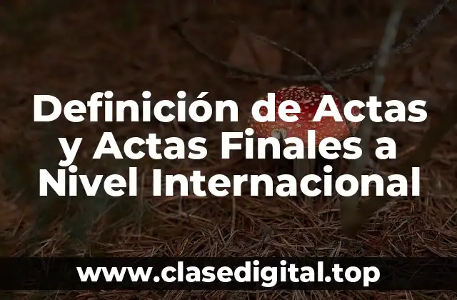 Definición de Actas y Actas Finales a Nivel Internacional