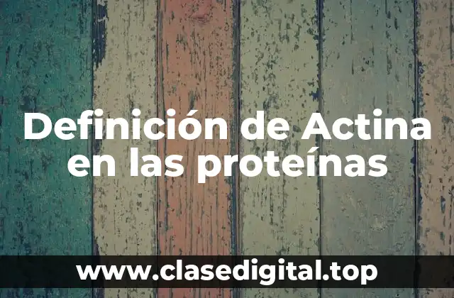 Definición de Actina en las proteínas