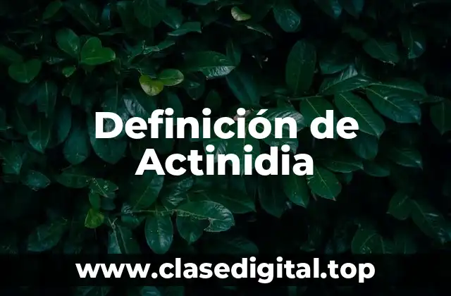 Definición de Actinidia