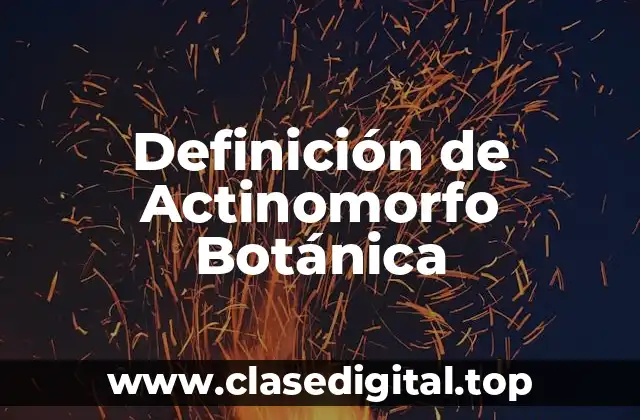 Definición de Actinomorfo Botánica