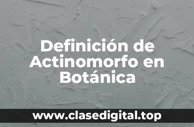 Definición de Actinomorfo en Botánica