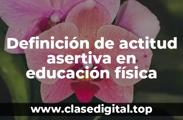 Definición técnica de actitud asertiva en educación física