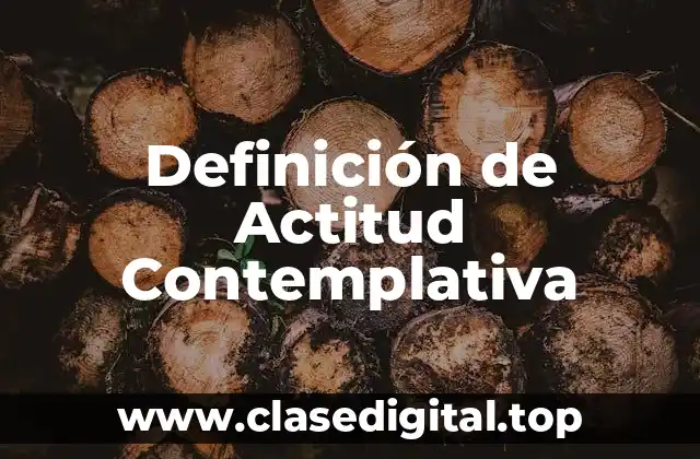 Definición de Actitud Contemplativa