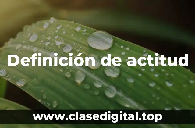 Definición de actitud