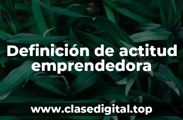 Definición de actitud emprendedora