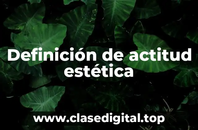 Ejemplos de actitud estética