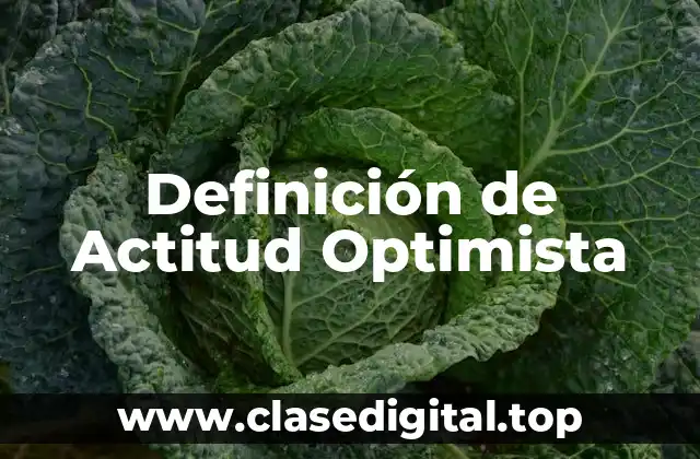 Definición de Actitud Optimista