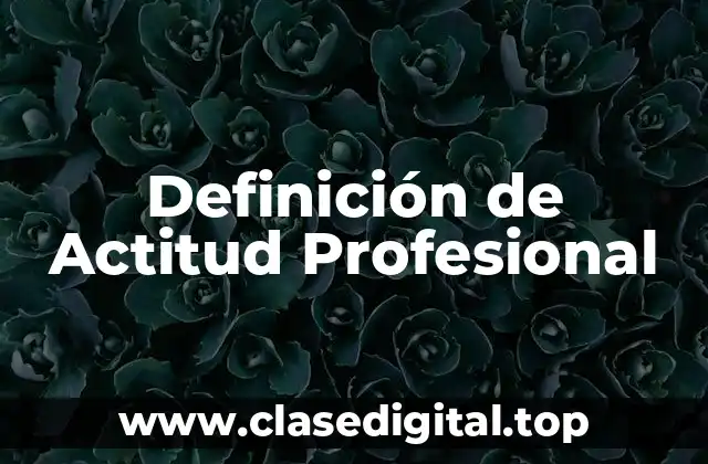Definición de Actitud Profesional