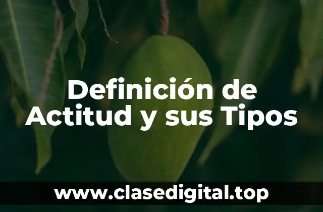 Definición técnica de Actitud