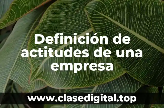 Definición de actitudes de una empresa