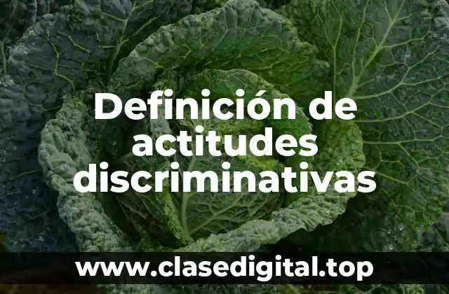 Definición de actitudes discriminativas